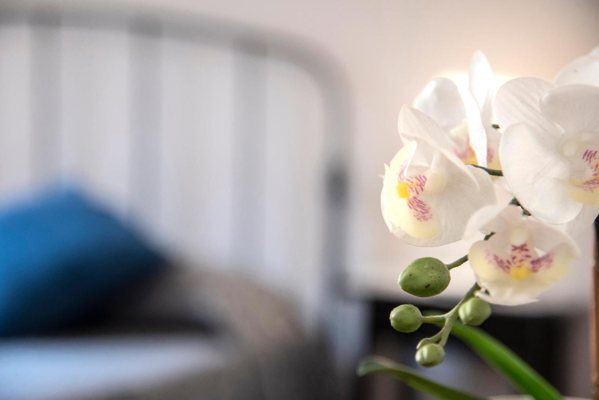 Guest house San Pietro Holidays Rome